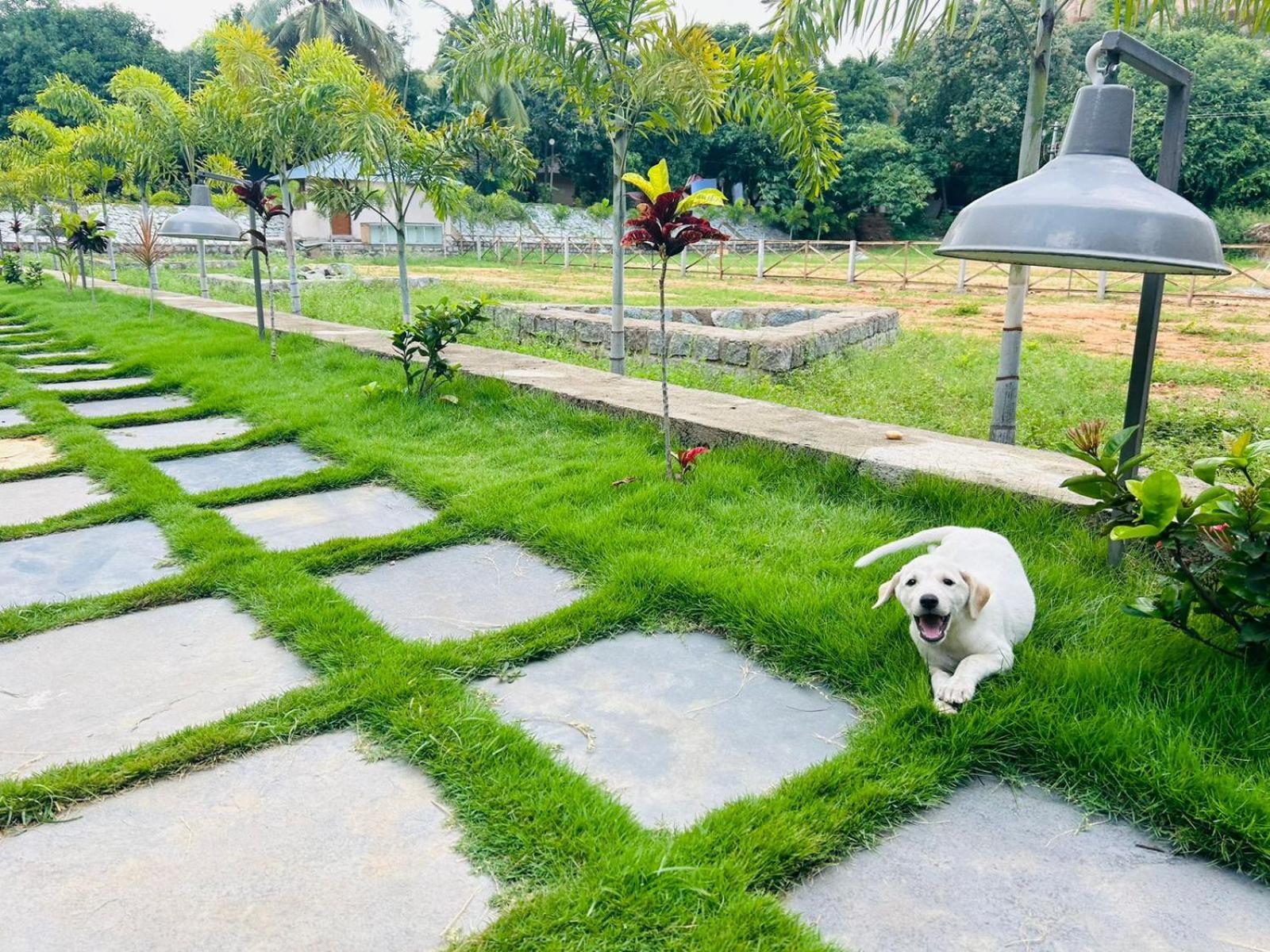 होटल Village & Tutti Cafe *